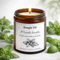 🌿 Bougie parfumée Menthe basilic artisanale
